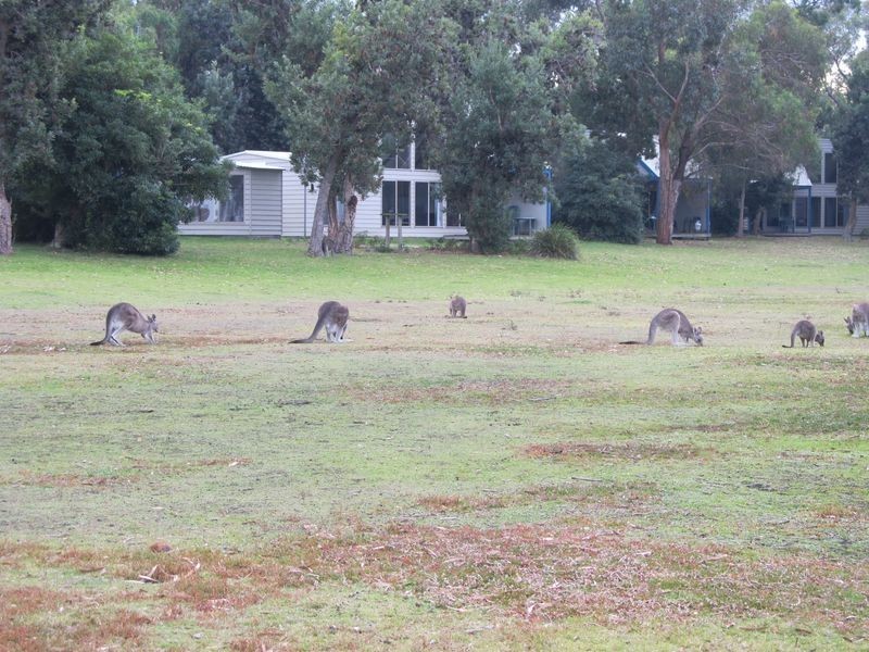 Lodge 15/2 Wattle Point Road, Bairnsdale VIC 3875