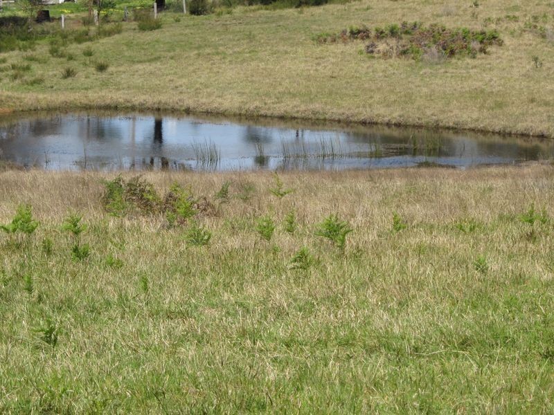 480 Duncan Road Sarsfield, Bairnsdale VIC 3875