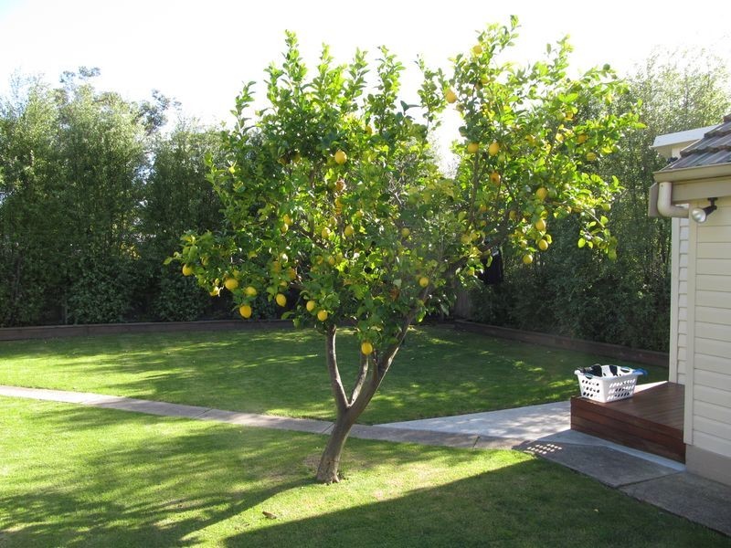 28 Day Street, Bairnsdale VIC 3875