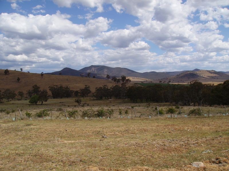 Teapot Creek Track via Hollands Road, Benambra VIC 3900
