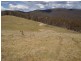 Teapot Creek Track via Hollands Road, Benambra VIC 3900