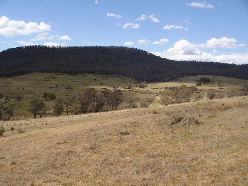 Teapot Creek Track via Hollands Road, Benambra VIC 3900