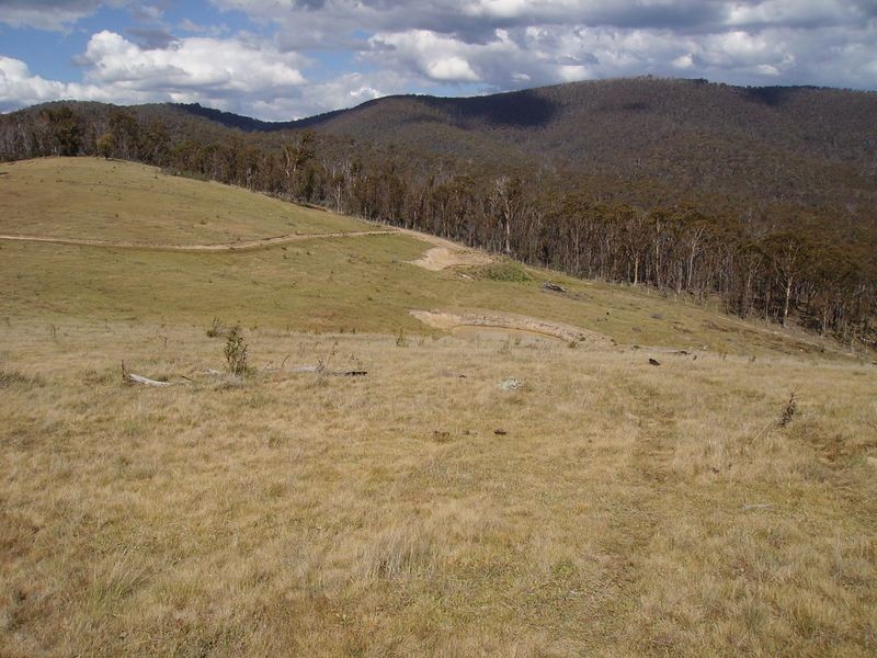 Teapot Creek Track Via Hollands Road, Benambra VIC 3900