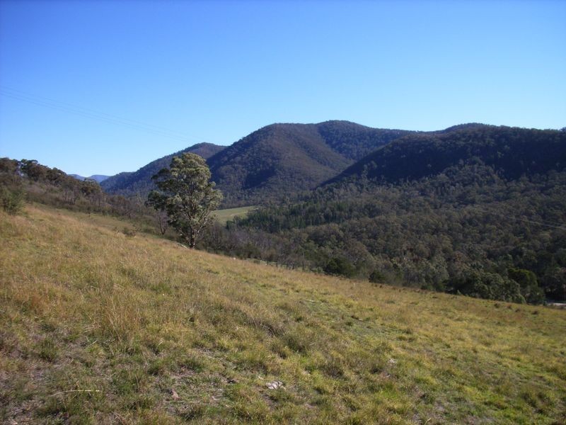 1 Dargo Road, Dargo VIC 3862