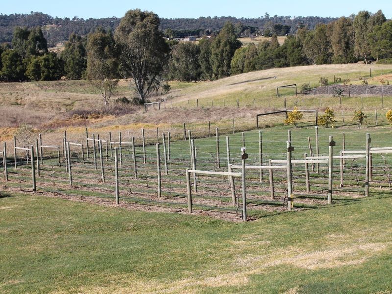 41 School Road, Sarsfield VIC 3875