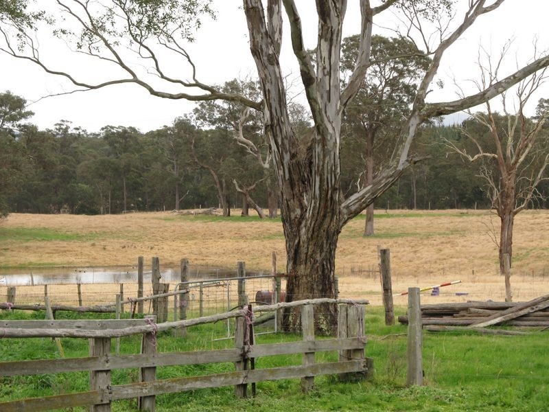 250 Honeysuckle Road Fernbank, Bairnsdale VIC 3875