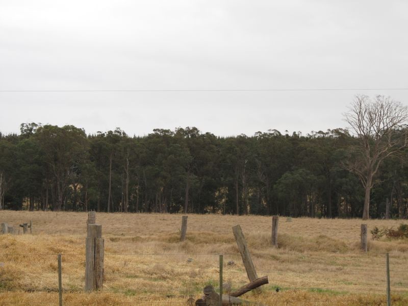 250 Honeysuckle Road Fernbank, Bairnsdale VIC 3875