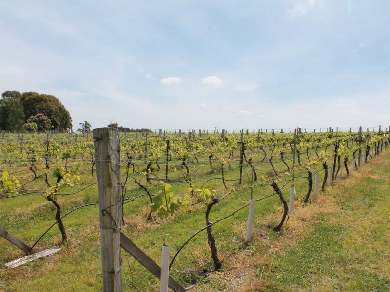 80 Norths Road Wy Yung, Bairnsdale VIC 3875