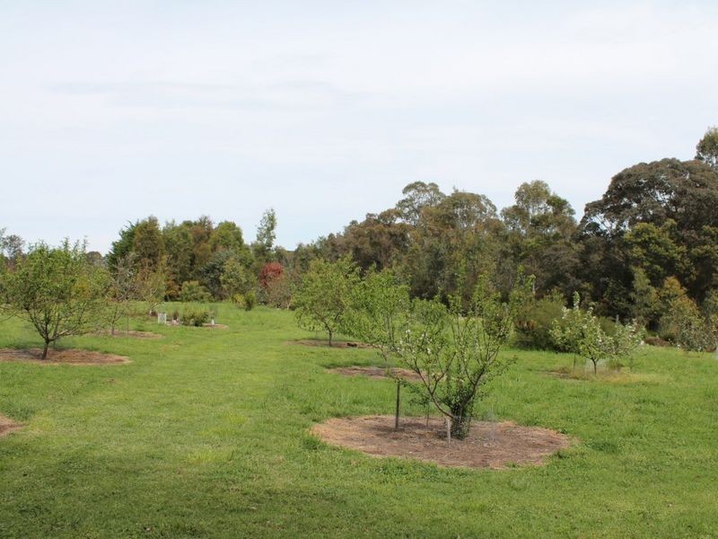 41 Nicholson-Sarsfield Road, Nicholson VIC 3882