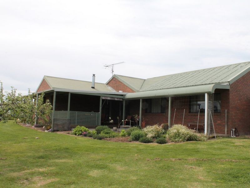 41 Nicholson – Sarsfield Road, Nicholson VIC 3882