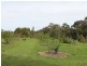 41 Nicholson – Sarsfield Road, Nicholson VIC 3882