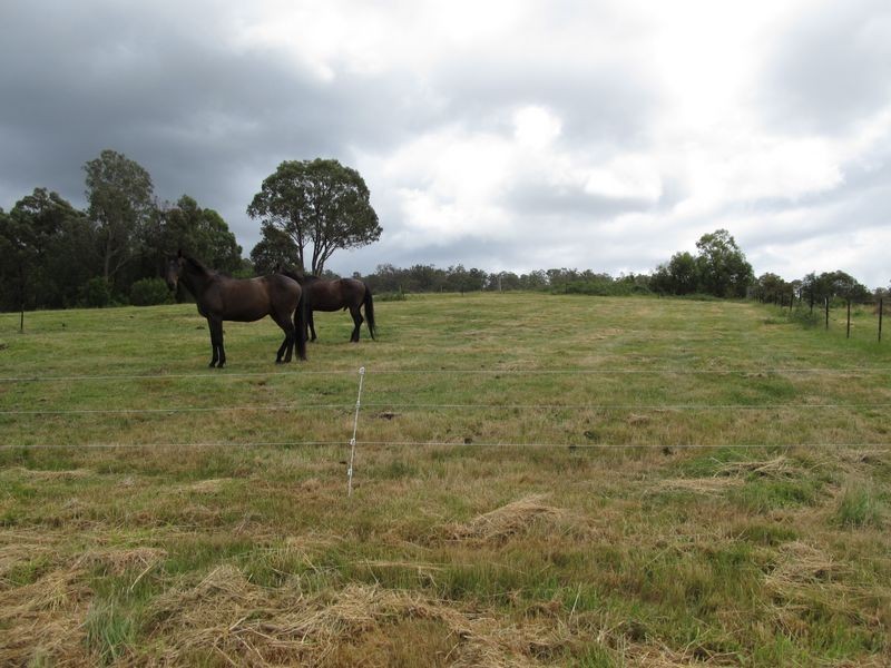 78 Station Street, Bruthen VIC 3885