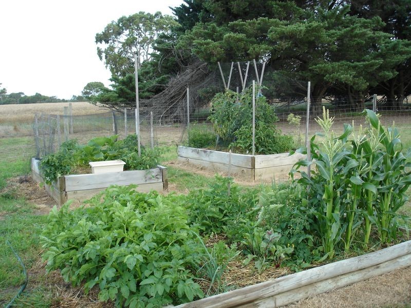 445 Races Lane, Bairnsdale VIC 3875