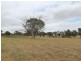 Lot 1 215 Stephenson Rd, Nicholson VIC 3882