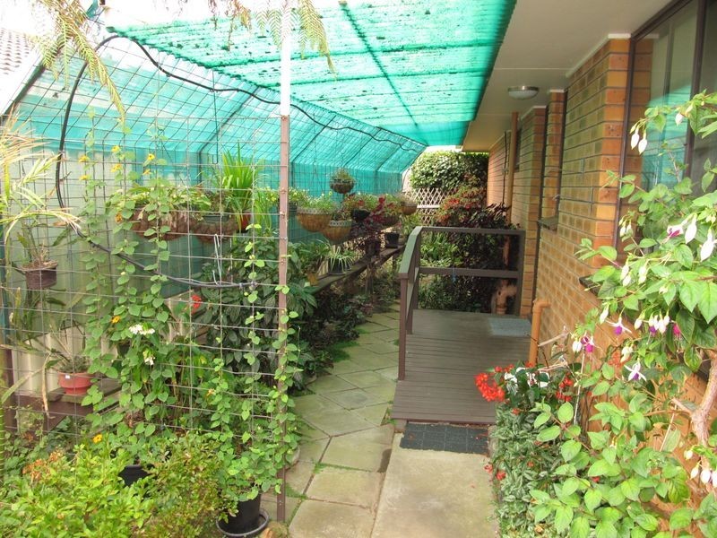 87 Drevermann St, Bairnsdale VIC 3875