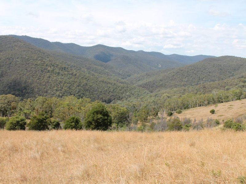 884 Gillingall Station Rd, Buchan VIC 3885