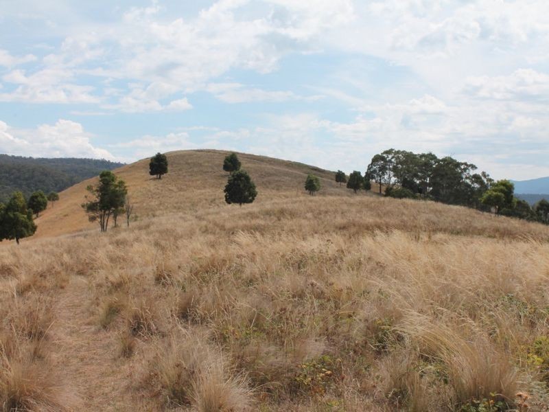 884 Gillingall Station Rd, Buchan VIC 3885