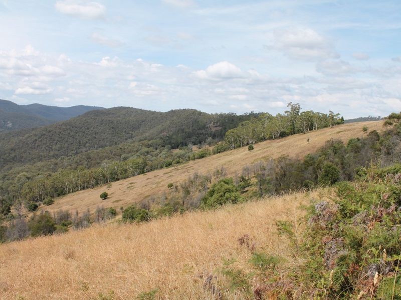 884 Gillingall Station Rd, Buchan VIC 3885