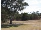 83-85 Hollands Landing Rd, Hollands Landing VIC 3875