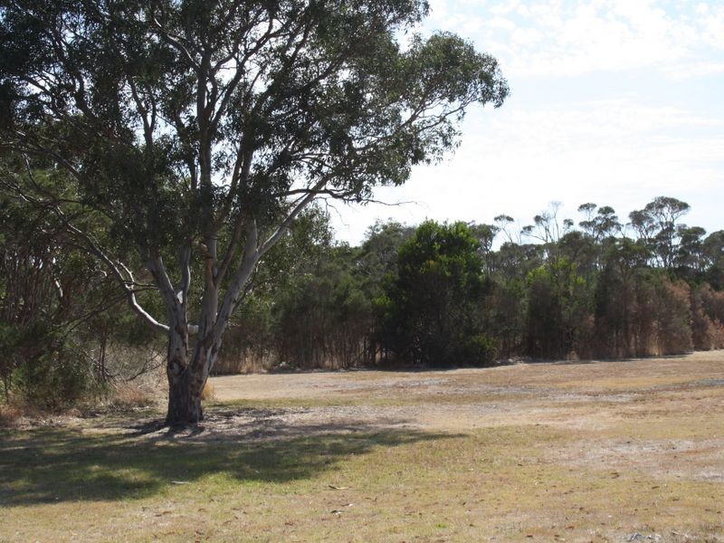 83-85 Hollands Landing Rd, Hollands Landing VIC 3875