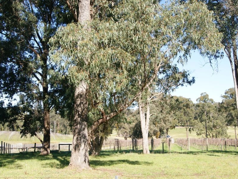 102 Bethross Drive Tambo Upper, Bairnsdale VIC 3875