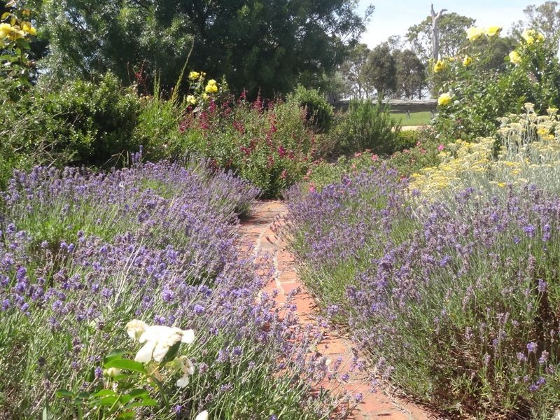 445 Races Lane Hillside, Bairnsdale VIC 3875