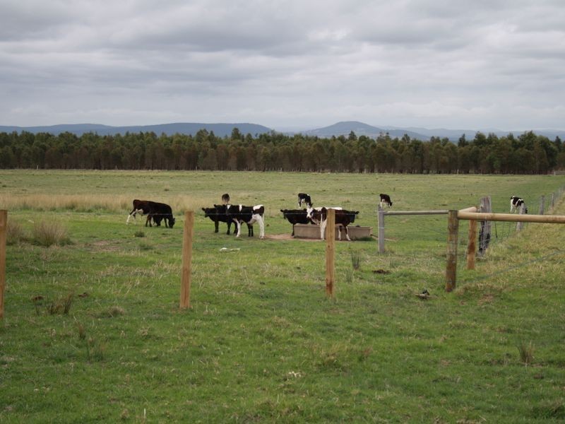 40 Humphreys Road, Bairnsdale VIC 3875