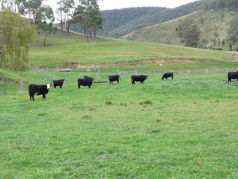 935 Gillingall Station Road, Buchan VIC 3885