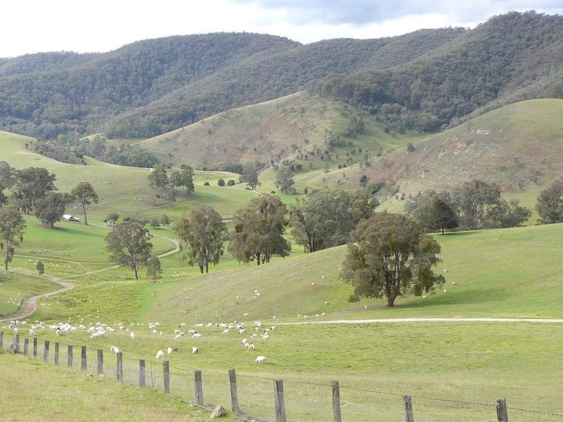 935 Gillingall Station Road, Buchan VIC 3885