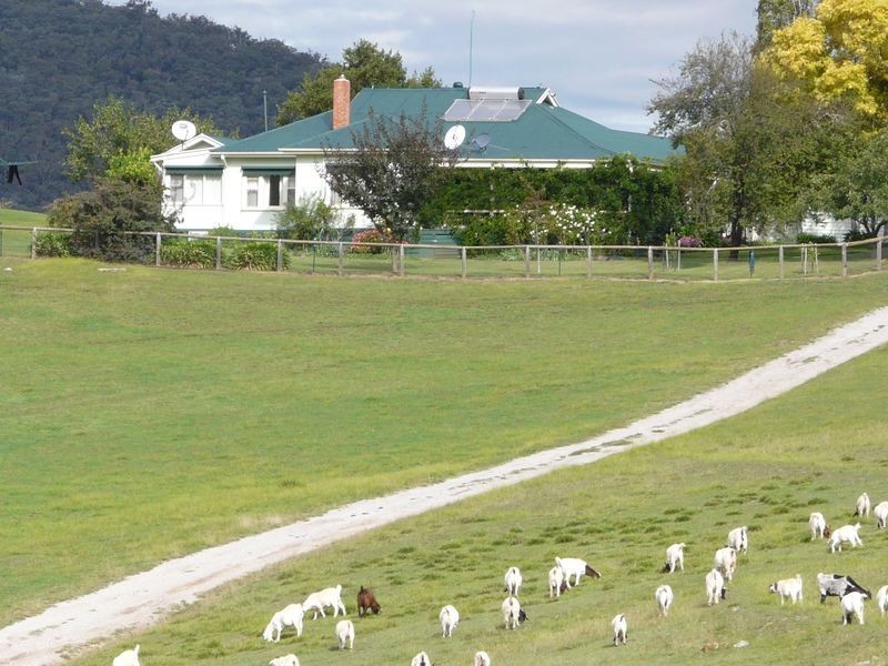 935 Gillingall Station Road, Buchan VIC 3885