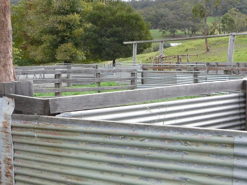 935 Gillingall Station Road, Buchan VIC 3885