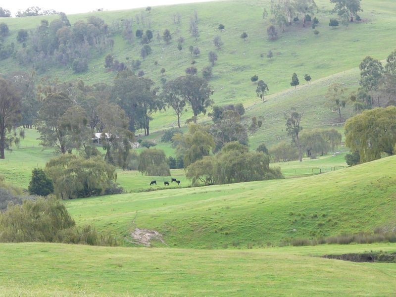 935 Gillingall Station Road, Buchan VIC 3885