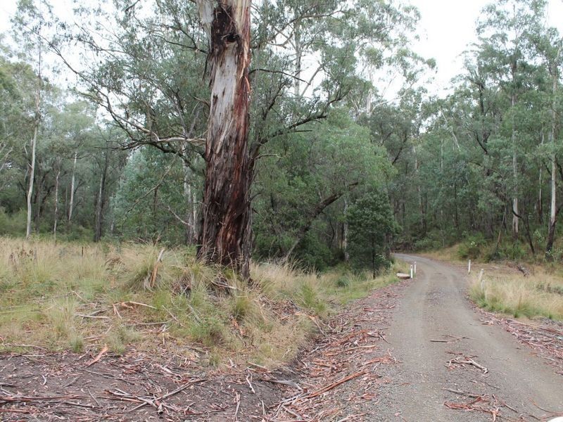 935A Gillingall Station Road, Buchan VIC 3885