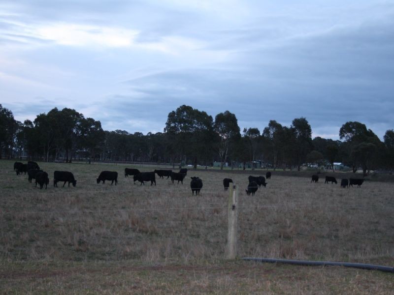 310 Maidens Lane, Lindenow South VIC 3875