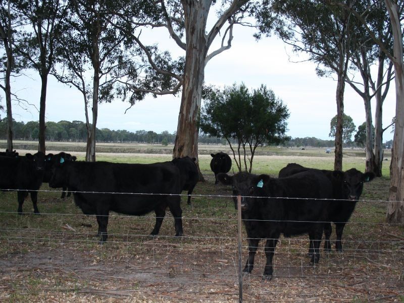 310 Maidens Lane, Lindenow South VIC 3875