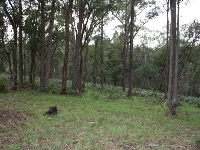 50 Lower Flaggy Creek Road, Flaggy Creek VIC 3875