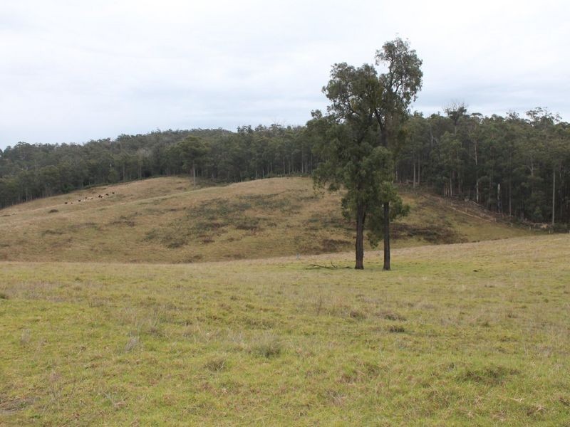 317 Garnets Track, Jarrahmond VIC 3888