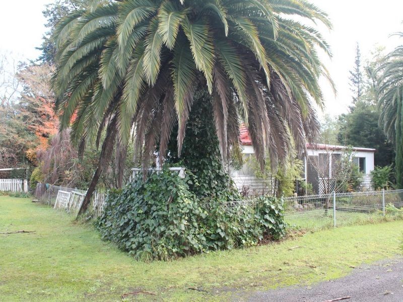 12 Angey Lane, Cann River VIC 3890