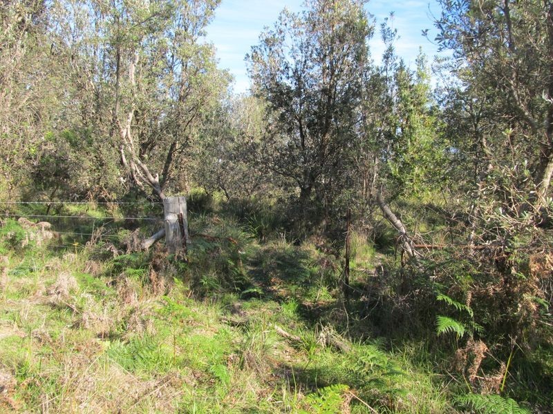594 Woodpile Road, Meerlieu VIC 3862
