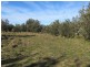 594 Woodpile Road, Meerlieu VIC 3862