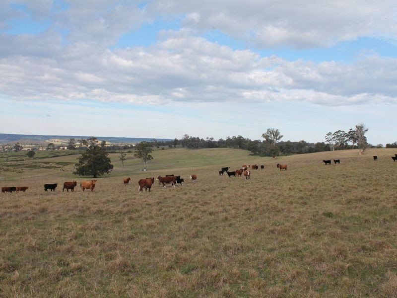 1612 Great Alpine Road, Sarsfield VIC 3875