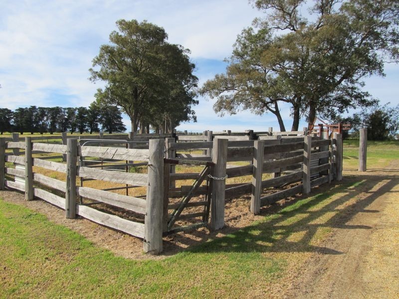 65 Williams Road, Flaggy Creek VIC 3875