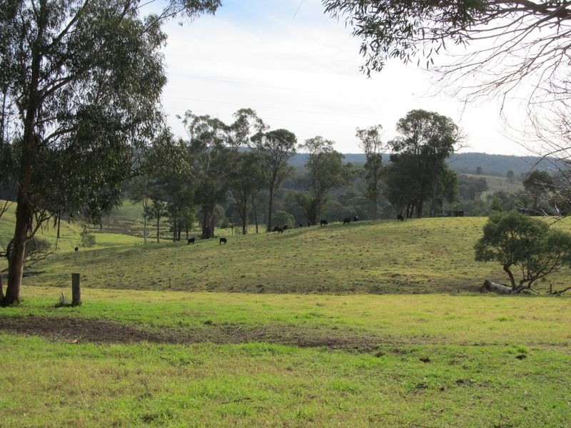 65 Williams Road, Flaggy Creek VIC 3875
