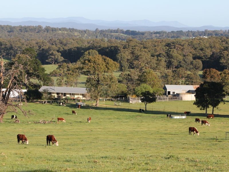 95 Boggy Creek Road, Bairnsdale VIC 3875