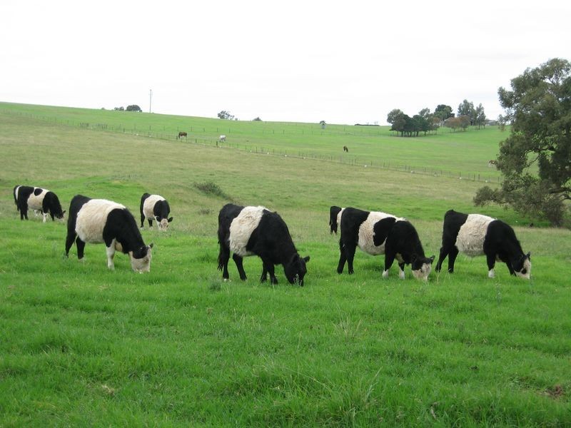 95 Boggy Creek Road, Bairnsdale VIC 3875