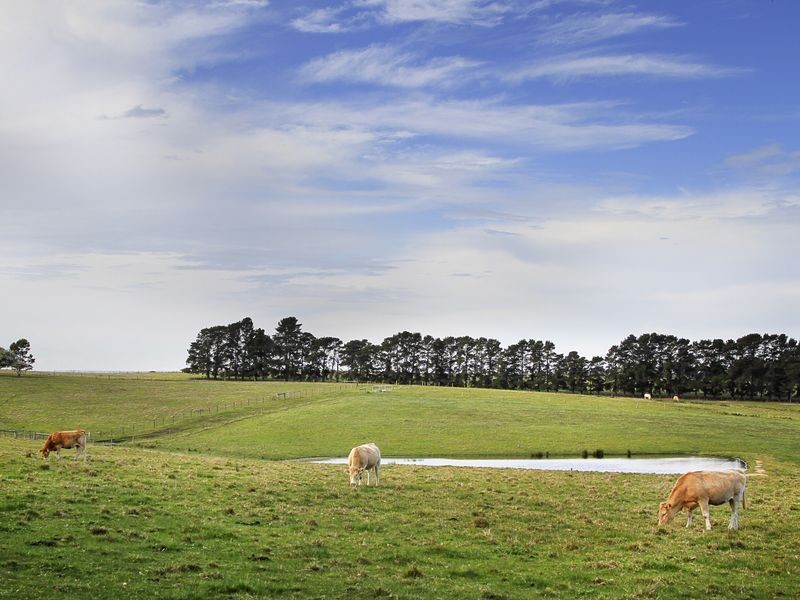 570 Great Alpine Road, Bairnsdale VIC 3875