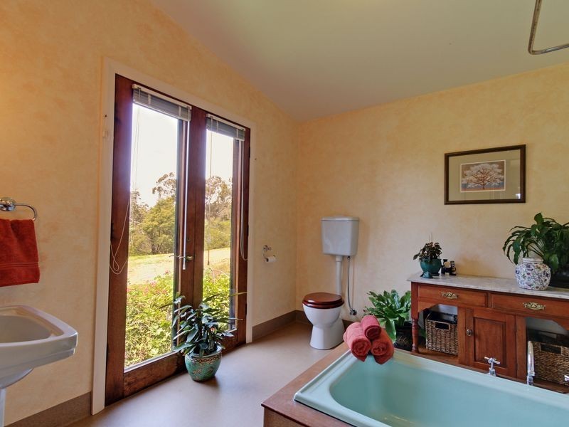 4410 Buchan Orbost Road, Buchan VIC 3885