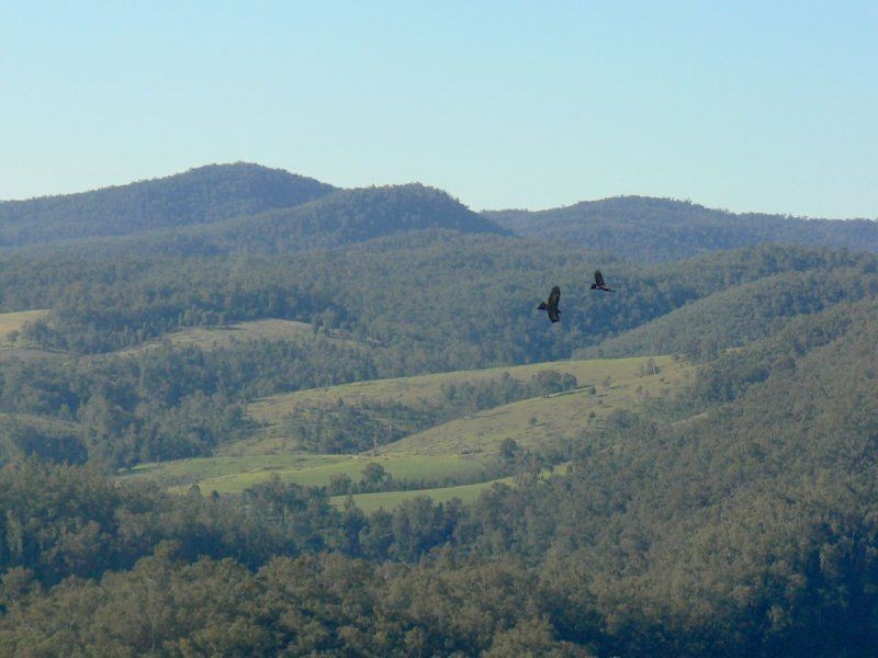 4410 Buchan Orbost Road, Buchan VIC 3885