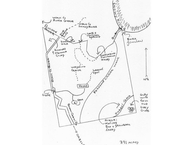 4410 Buchan Orbost Road, Buchan VIC 3885