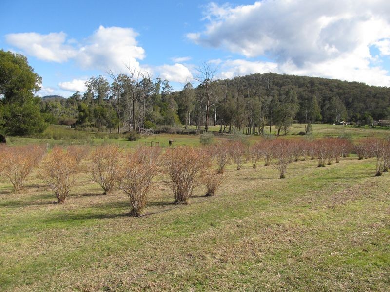 93 Quire Rd, Buchan South VIC 3885